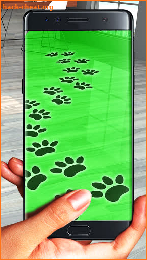 Footprints path scanner joke screenshot