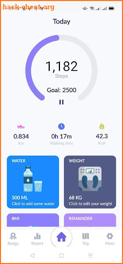 FootStepper - Step Counter App screenshot