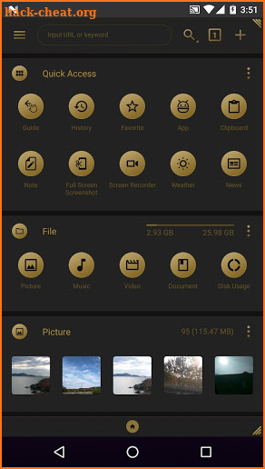 fooView Theme - Black Golden screenshot