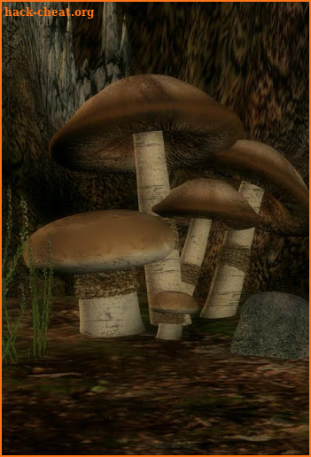 Forest Cemetery Escape screenshot