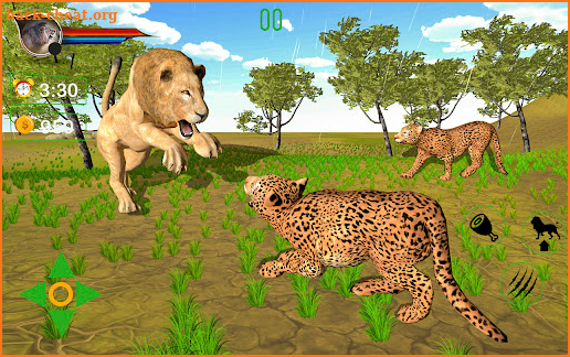 Forest Cougar Lion Simulator screenshot