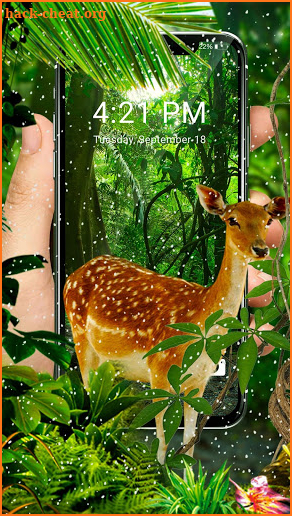 Forest Elk APUS Live Wallpaper screenshot