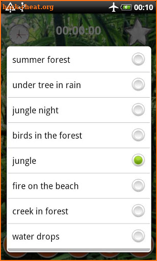 Forest Sounds Nature To Sleep screenshot