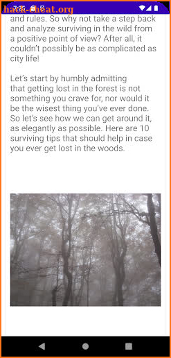 Forest survival guide screenshot