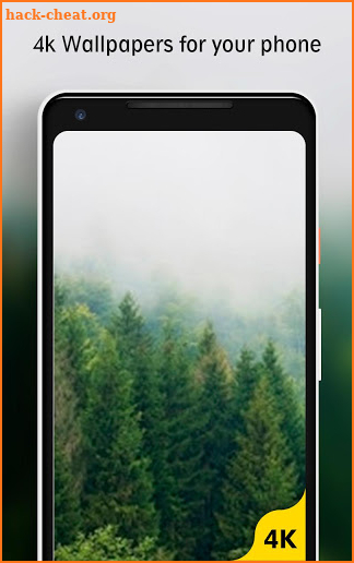 Forest Wallpaper screenshot