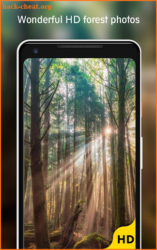 Forest Wallpaper screenshot
