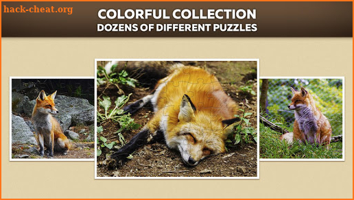 Fox Puzzles screenshot