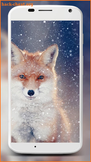 Fox Wallpaper HD screenshot