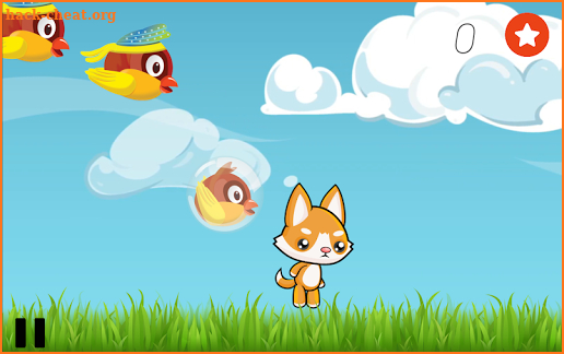 FoxyBird screenshot
