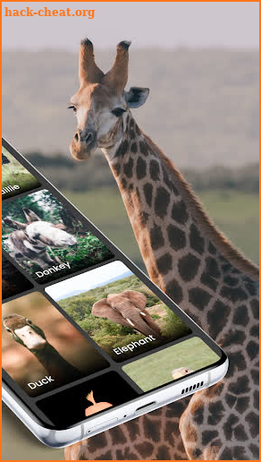 Free animal sounds: real animal noises & pictures screenshot