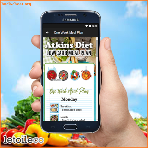 Free Atkins Diet Low Carb Meal Plan (Weight Loss) screenshot