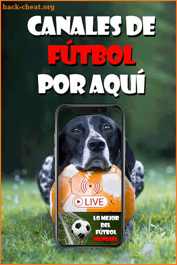 Free Live Soccer from Around the World screenshot