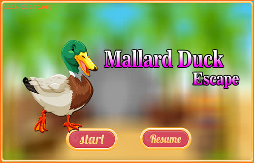Free New Escape Game 94 Mallard Duck Escape screenshot