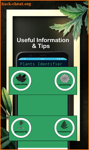 Free Plant Identifier : Plant Finder Camera screenshot
