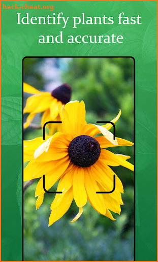Free Plant, Tree, Flower, Leaf Identification screenshot