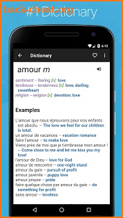 French English Dictionary + screenshot