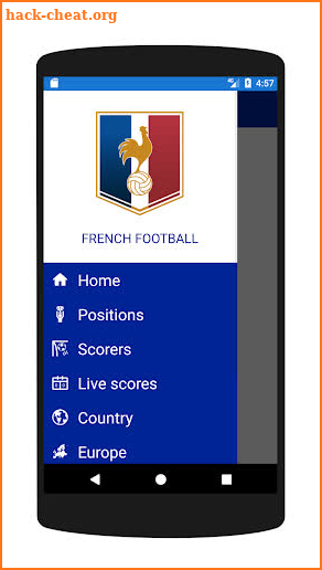 French Soccer Live screenshot