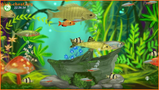 Freshwater Aquarium screenshot