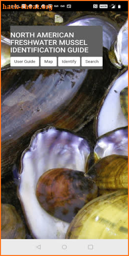 Freshwater Mussel Identification Guide screenshot