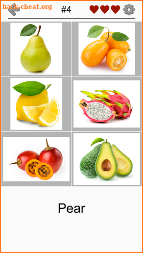 Fruit and Vegetables, Nuts & Berries: Picture-Quiz screenshot
