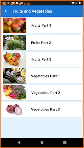 Fruits and Vegetables vocabulary screenshot