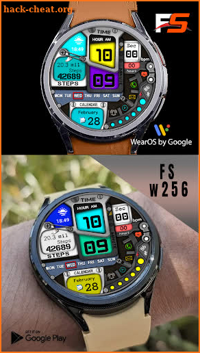 FS W256 Watch face screenshot