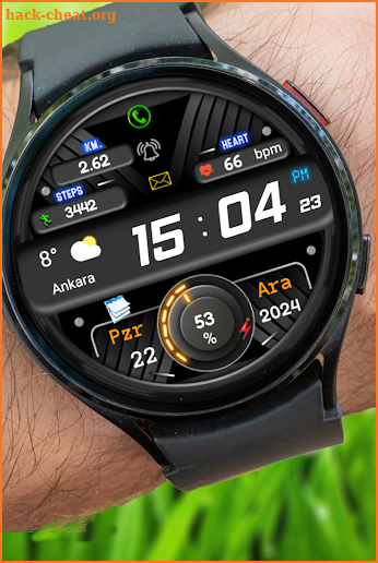 FSW278 Digital Watch face screenshot