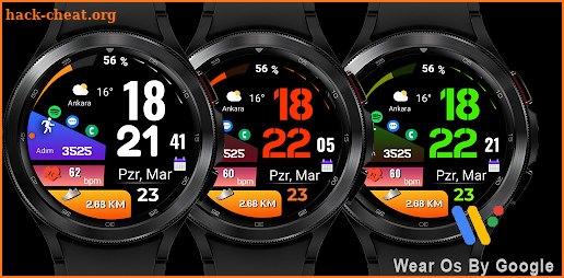 FSW285 digital watch face screenshot
