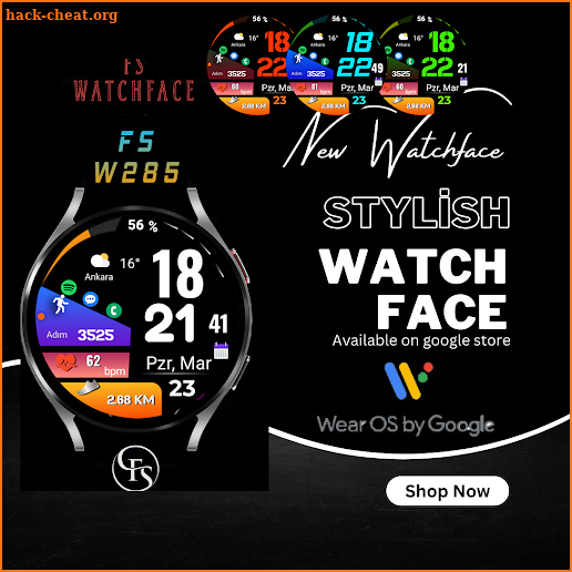 FSW285 digital watch face screenshot