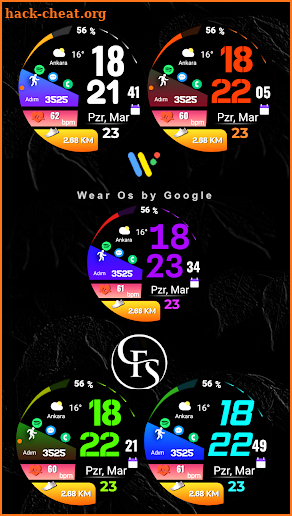 FSW285 digital watch face screenshot