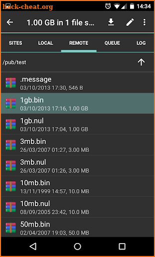 FTP Express Pro screenshot