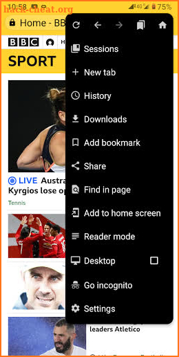Fulguris Web Browser screenshot