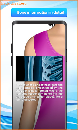 Full body scanner-Xray scanner screenshot