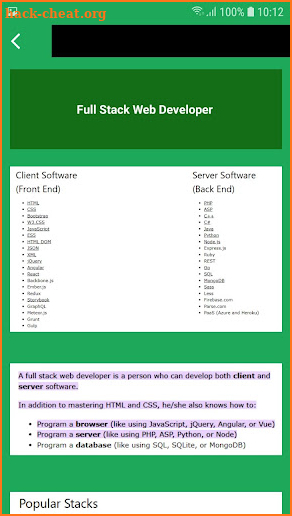 Fullstack Developer screenshot