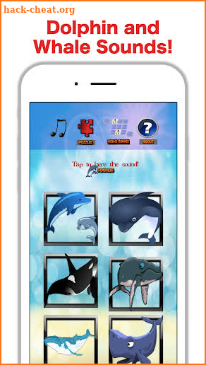 Fun Whale & My Dolphin Show Game For Kids Free🐋🐬 screenshot