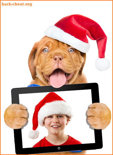 Funny Dog Photo Frames screenshot