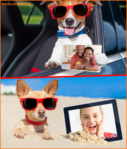 Funny Dog Photo Frames screenshot