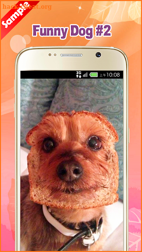 Funny Dog Pictures screenshot