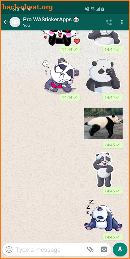 🐼 Funny Panda Stickers WAStickerApps screenshot