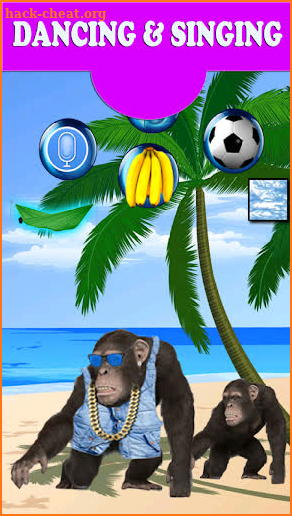 Funny Talking Monkey screenshot