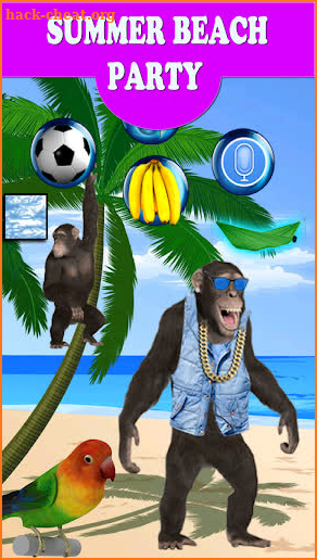 Funny Talking Monkey screenshot