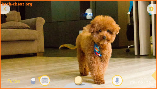 Furbo-Treat Tossing Dog Camera screenshot