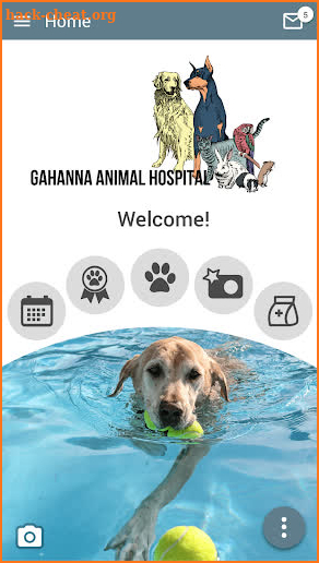 Gahanna Animal Hospital screenshot