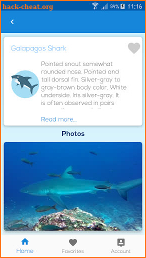 Galapagos Sea Life screenshot