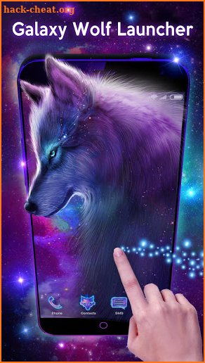 Galaxy Wolf Theme screenshot