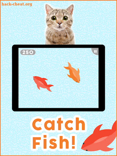 Games for Cats! - Cat Fishing Mouse Chase Cat Game screenshot