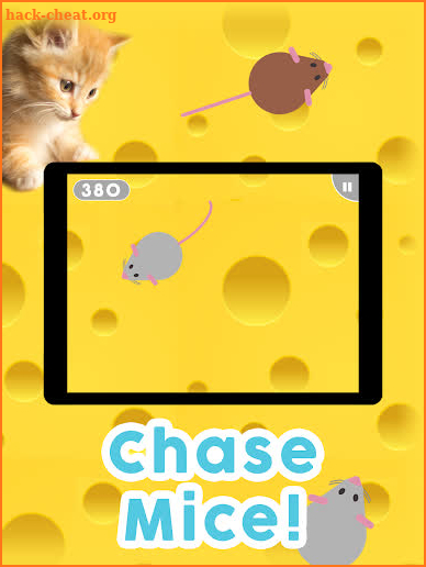 Games for Cats! - Cat Fishing Mouse Chase Cat Game screenshot