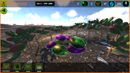 Gardenium Terrarium screenshot