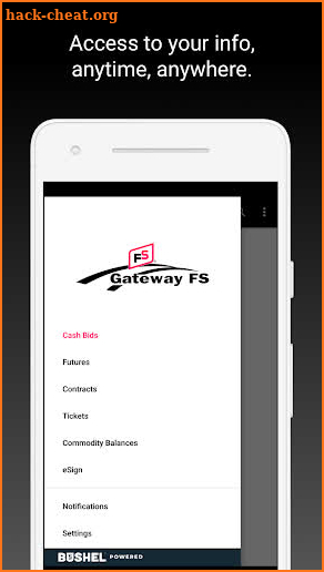 Gateway FS screenshot