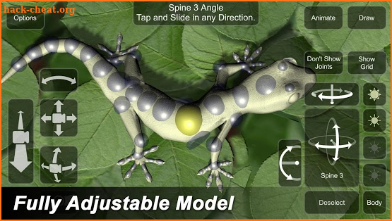 Gecko Mannequin screenshot